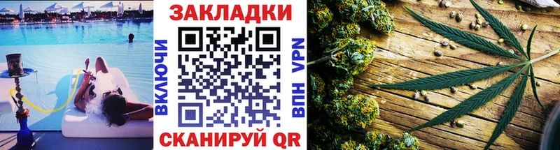 Как найти наркотики Пионерский Гашиш  A PVP  Амфетамин  КОКАИН  Мефедрон 