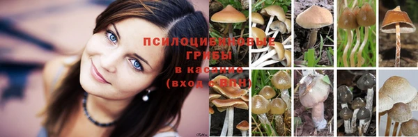 МДПВ Белоозёрский