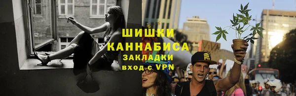 ПСИЛОЦИБИНОВЫЕ ГРИБЫ Беломорск