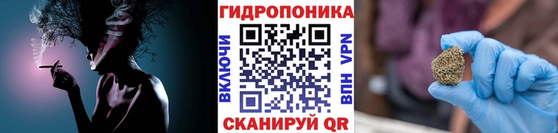 цены Пионерский Конопля сатива